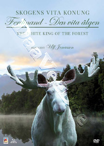 The White King Of The Forest | Ferdinand - Den Vita lgen  |   DVD